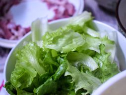 zelena salata, salata