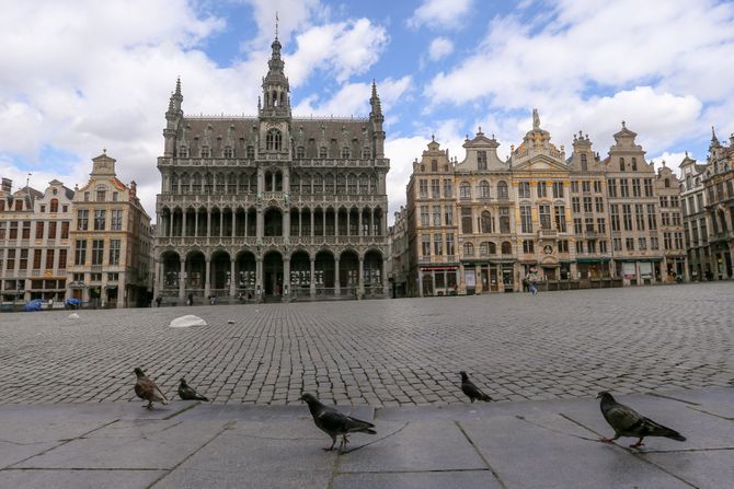 Belgija, Brisel, golubovi