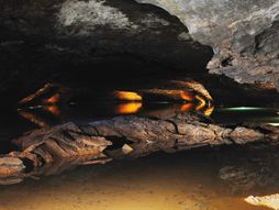 Izgubljena morska pećina, Tenesi