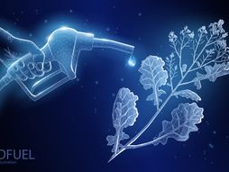 Gorivo, poljoprivreda, biofuel, biogorivo