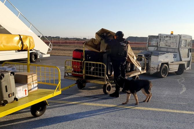 Bomba u Avionu, Airserbia