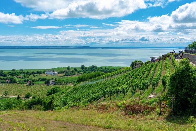 Balaton