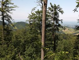 Planina Medvednik - Valjevo