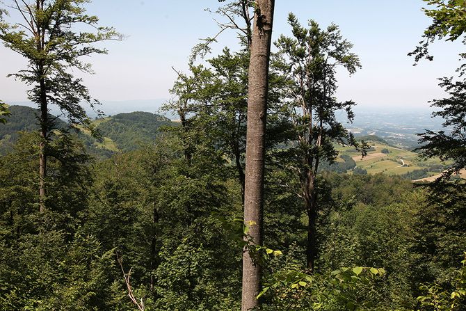 Planina Medvednik - Valjevo