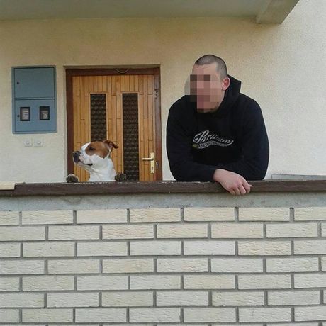 Miloš Mandić Mandara, Novi Sad Miloš Mandić Mandara, Novi Sad