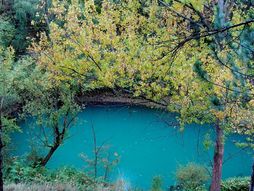 Vrelo Mlave Žagubica