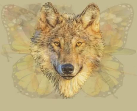 Optička iluzija, životinje