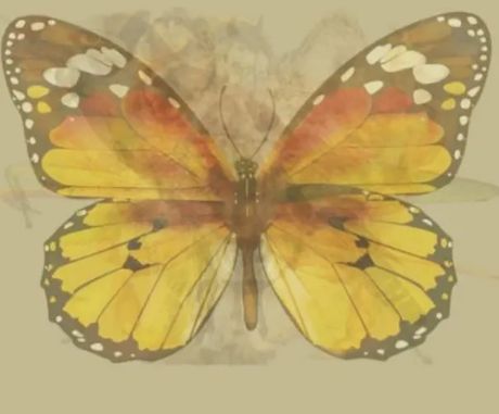 Optička iluzija, životinje