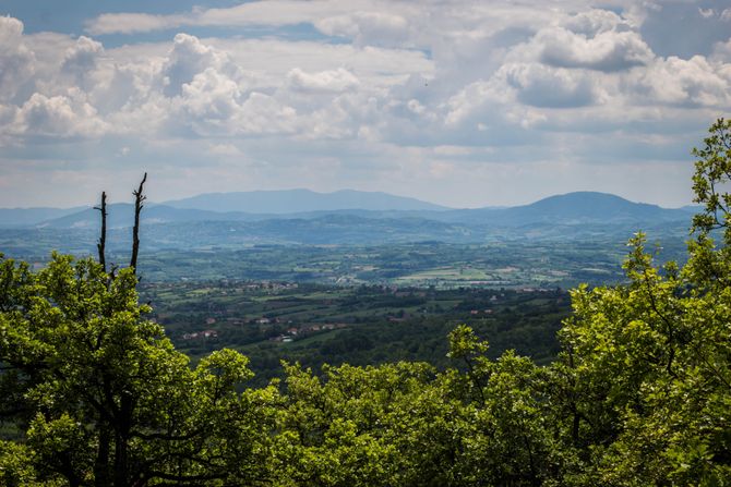 Planina Kosmaj