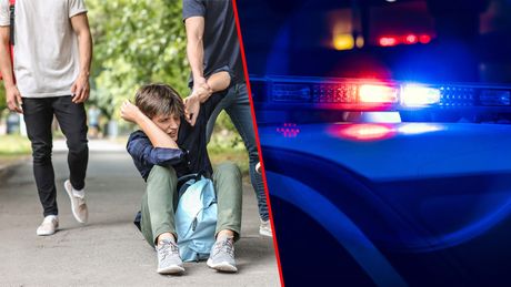 Mladići tukli palicama dvojicu maloletnika u dvorištu osnovne škole