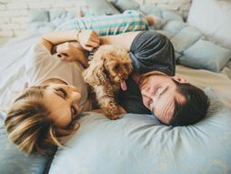 Ljubav, partneri, pas, ljubimac, veza