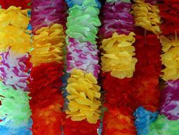 Venčići od pera, Havaji