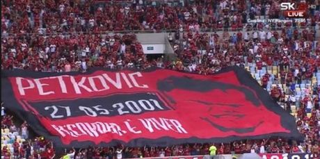 Dejan Petković, Flamengo