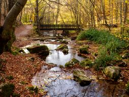 Izletište Grza, Paraćin
