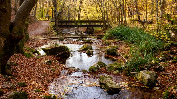 Izletište Grza, Paraćin