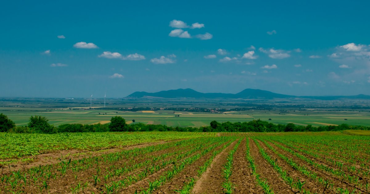 Pogled koji se pamti: Nadomak Vršca krije se prirodni raj koji malo ko u potpunosti poznaje