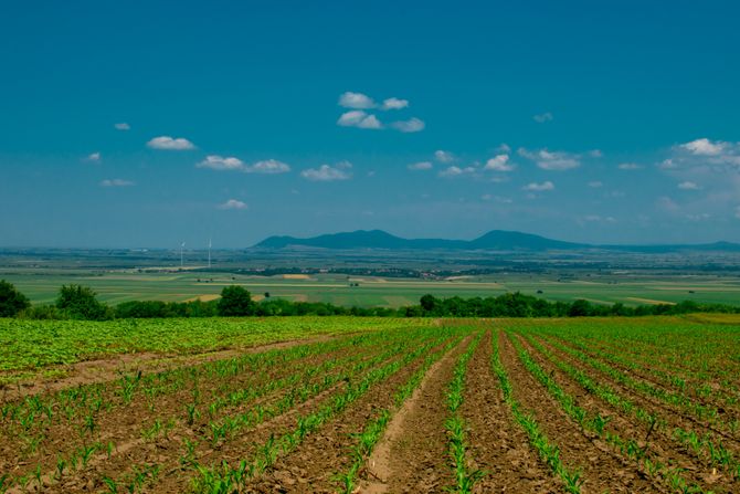 Vršačke planine