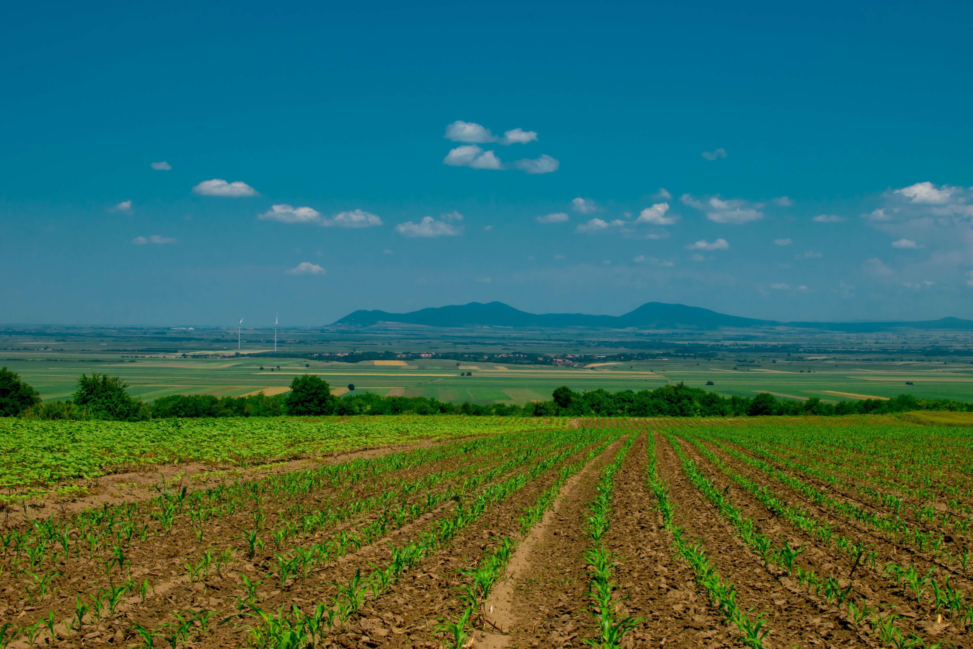 Pogled koji se pamti: Nadomak Vršca krije se prirodni raj koji malo ko u potpunosti poznaje