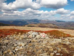 Zladovacka planina Trgoviste
