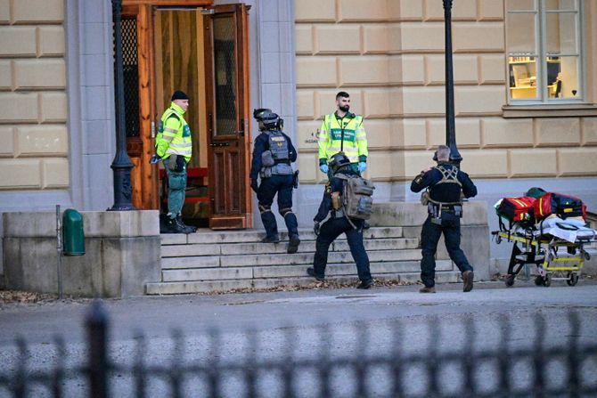 Malme, učenik ubio sekirom dve žene