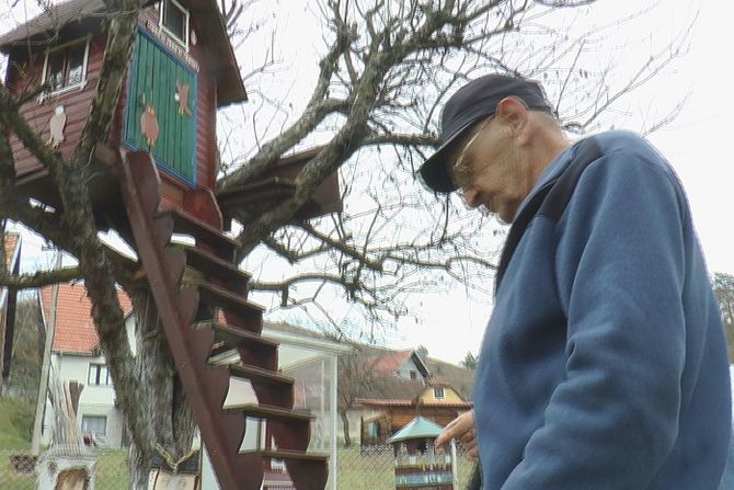 Kućica na drvetu, Žarko Nešovanović, Bajina Bašta