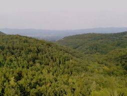 Jelica planina Čačak