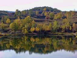 Rgotsko jezero - Zaječar