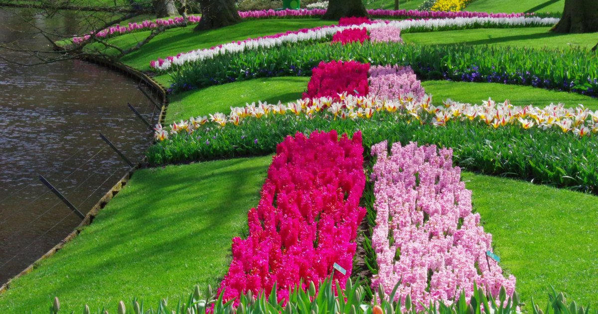 Najlepše i najcvetnije destinacije u svetu: Prve tri na listi nisu naročito daleko, a fenomenalne su s proleća