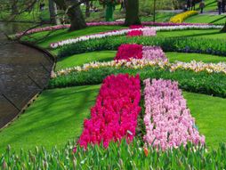 Keukenhof, Holandija