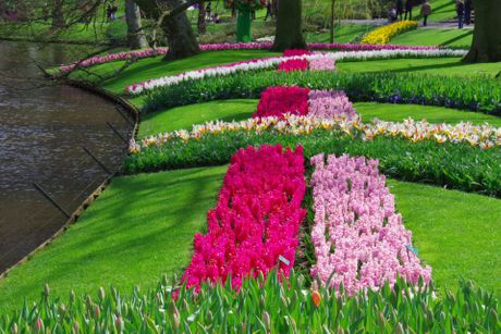 Keukenhof, Holandija