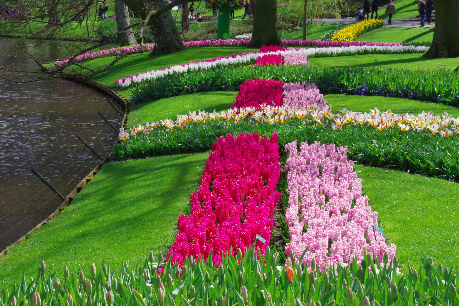 Najlepše i najcvetnije destinacije u svetu: Prve tri na listi nisu naročito daleko, a fenomenalne su s proleća