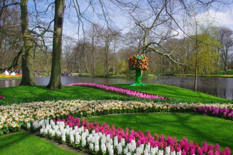 Keukenhof, Holandija