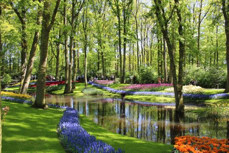 Keukenhof, Holandija