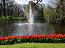 Holandija, Zemlja lala