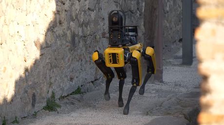 Pas robot angažiran da pomogne u čuvanju drevnih rimskih ruševina Pompeja