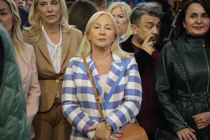 Sns, Završna konvencija Sns, Završna konvencija