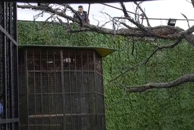 Nenad Macanović, Miljana Kulić Nenad Macanović, Miljana Kulić