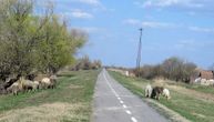 Biciklom možemo do granice sa Rumunijom: Prizori tokom vožnje će da vas iznerviraju, ali i opuste