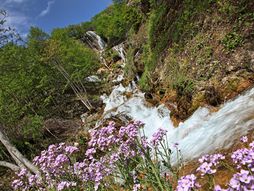 Sopotnica - Prijepoplje, 365 dana kroz Srbiju