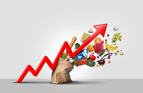 Inflacija hrana prehrambena industrija rast cena