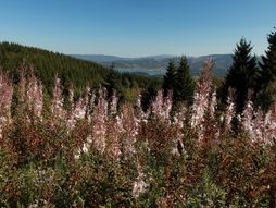 Planina Cemernik - Vlasinsko jezero