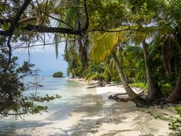 Usamljeno ostrvo, tropsko ostrvo