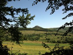 Planina Ozren - Sokobanja