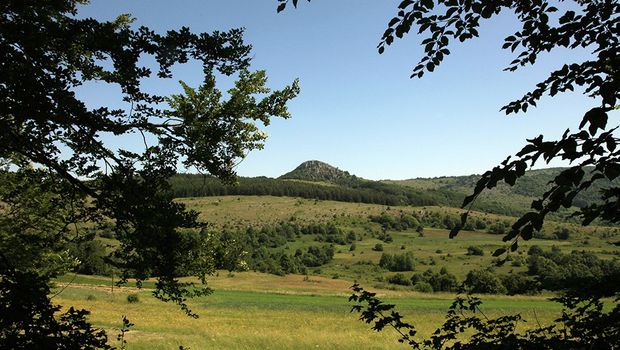 Planina Ozren - Sokobanja