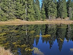 Dajićko jezero Golija