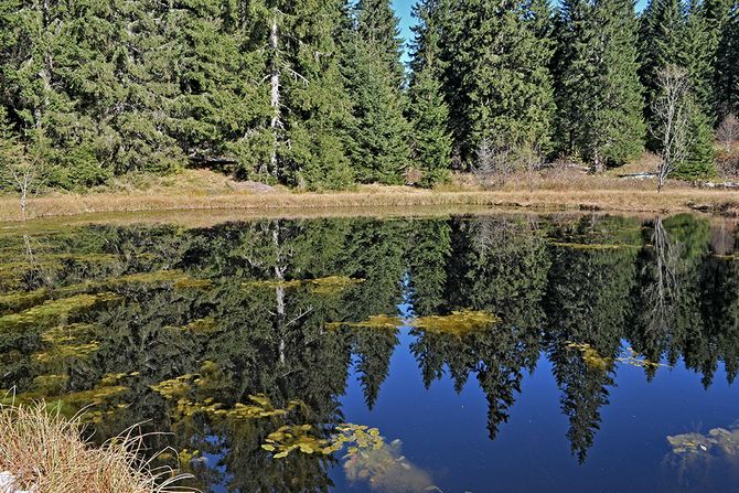 Dajićko jezero Golija