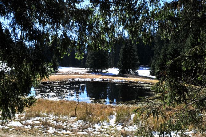 Dajićko jezero Golija