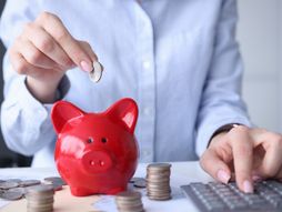 Štednja, kasica prasica