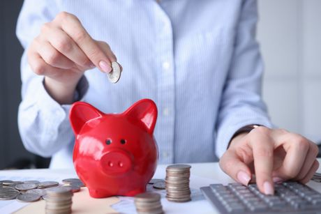 Štednja, kasica prasica Štednja, kasica prasica