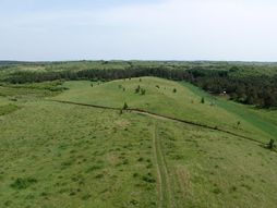 Deliblatska peščara